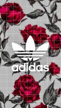Adidas Logo iPhone Screen Lock Wallpaper