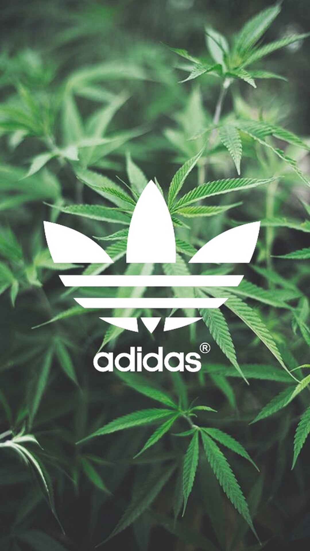 Logo Adidas iPhone Backgrounds With high-resolution 1080X1920 pixel. You can set as wallpaper for Apple iPhone X, XS Max, XR, 8, 7, 6, SE, iPad. Enjoy and share your favorite HD wallpapers and background images