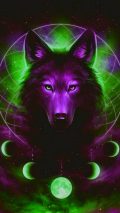 Cool Wolf iPhone Home Screen Wallpaper