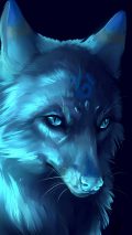 Cool Wolf iPhone Wallpaper HD