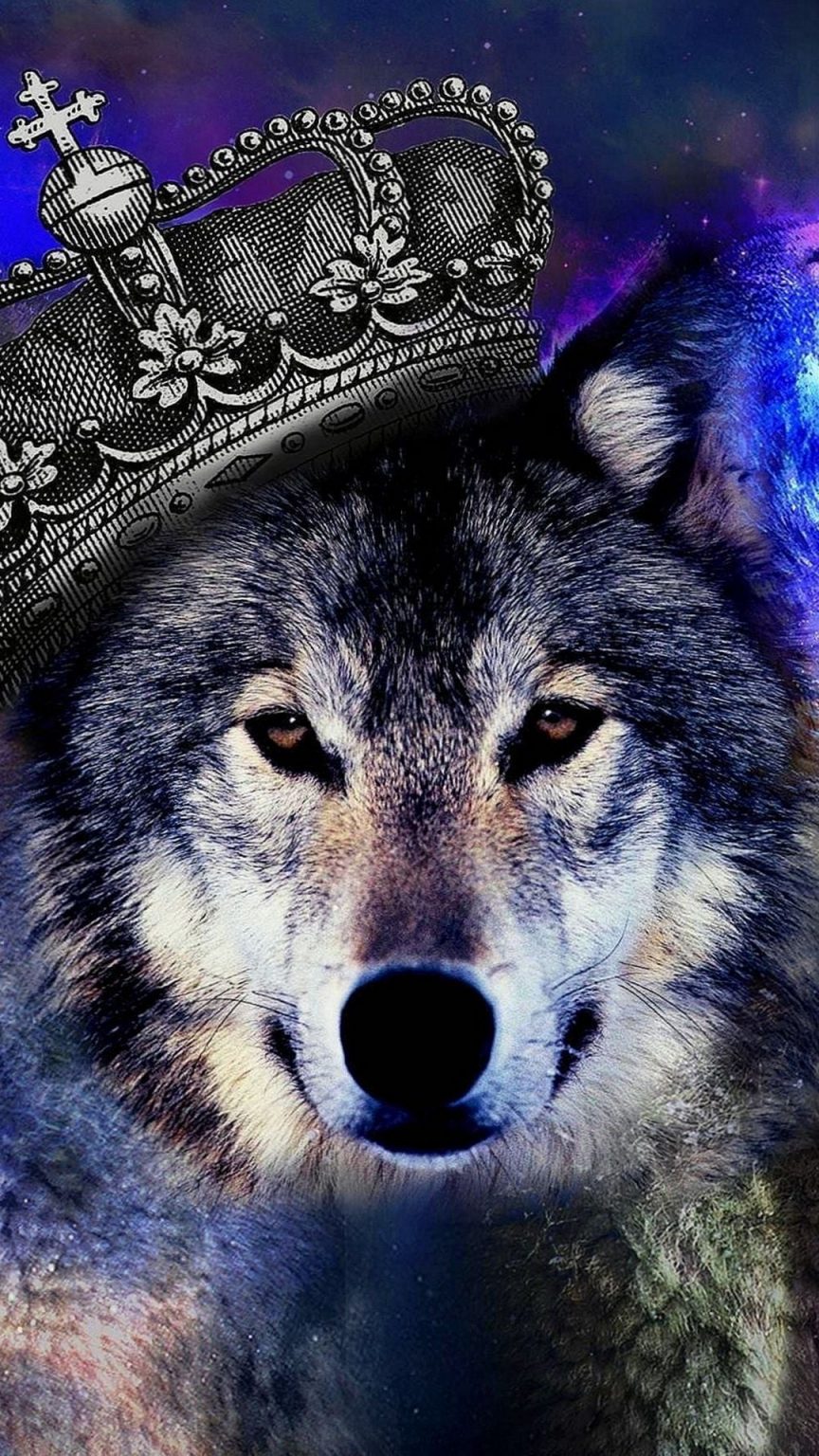 Cool Wolf iPhone Wallpaper in HD - 2023 Cute iPhone Wallpaper