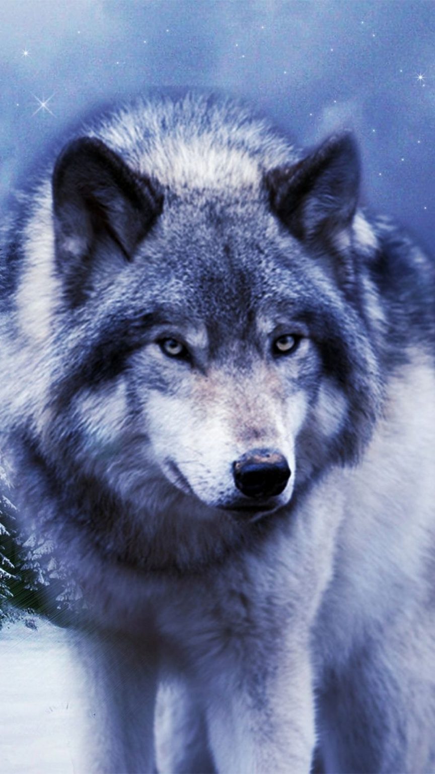 Cool Wolf iPhone Wallpaper in HD - 2022 Cute iPhone Wallpaper