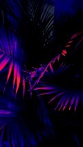 Neon Purple iPhone Wallpaper in HD