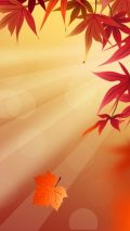 Fall iPhone Backgrounds